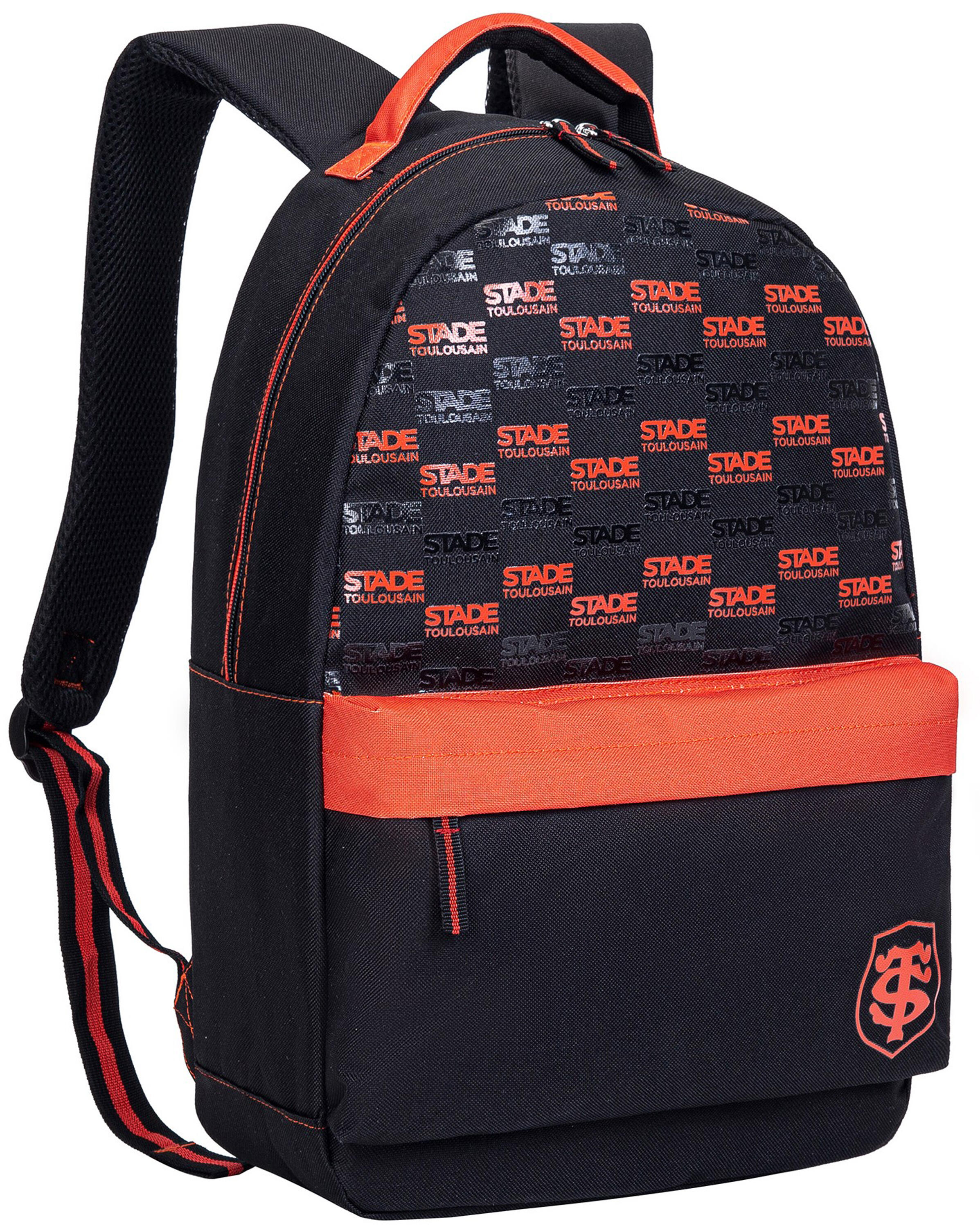 STADE TOULOUSAIN picture