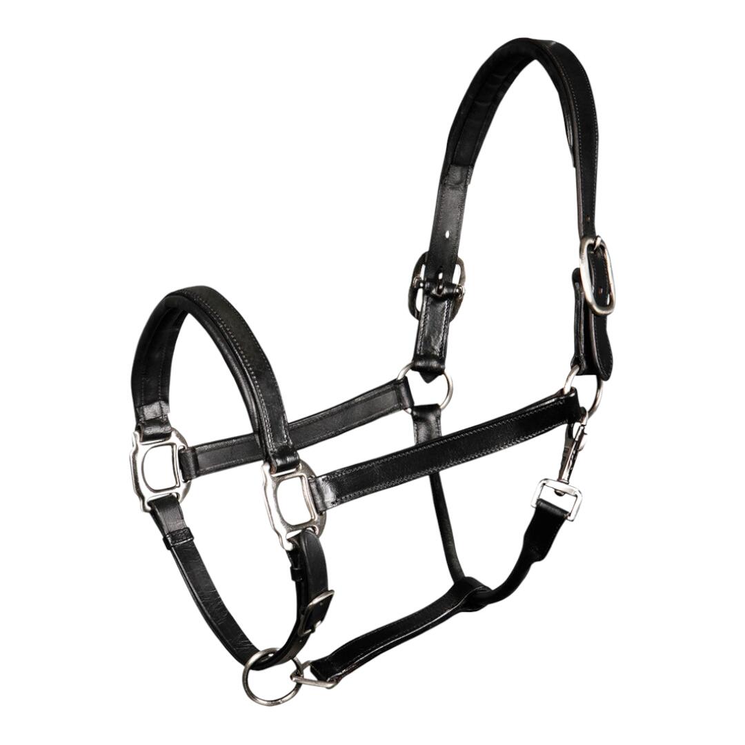 Halfter aus Leder Harry's Horse 2/2
