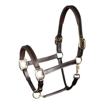 Gewatteerd lederen halster voor paarden harry's horse