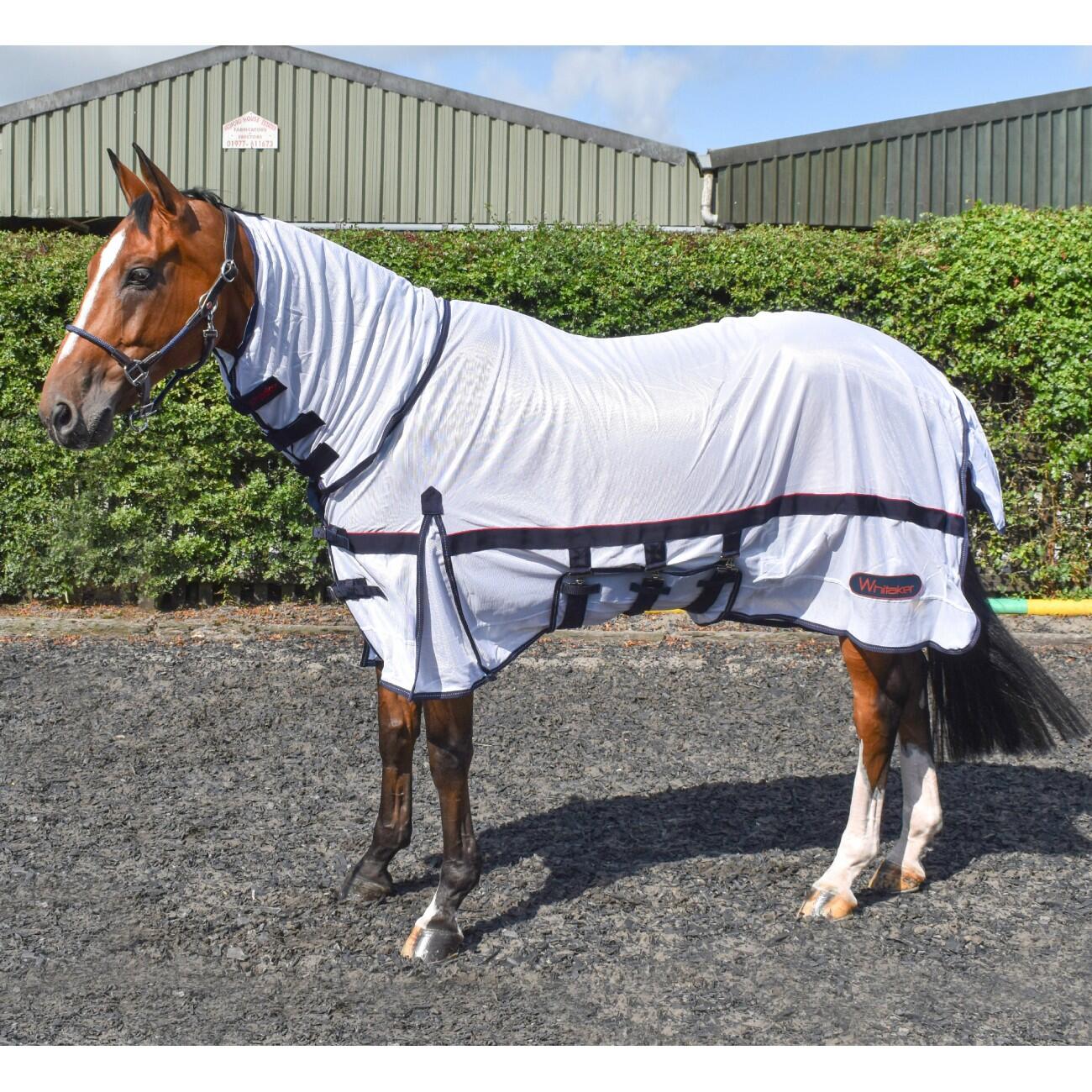 Whitaker Fly Mesh Horse Rug with Fixed Hood 3/3