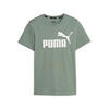 T-shirt Essentials Logo Enfant et Adolescent PUMA Eucalyptus Green