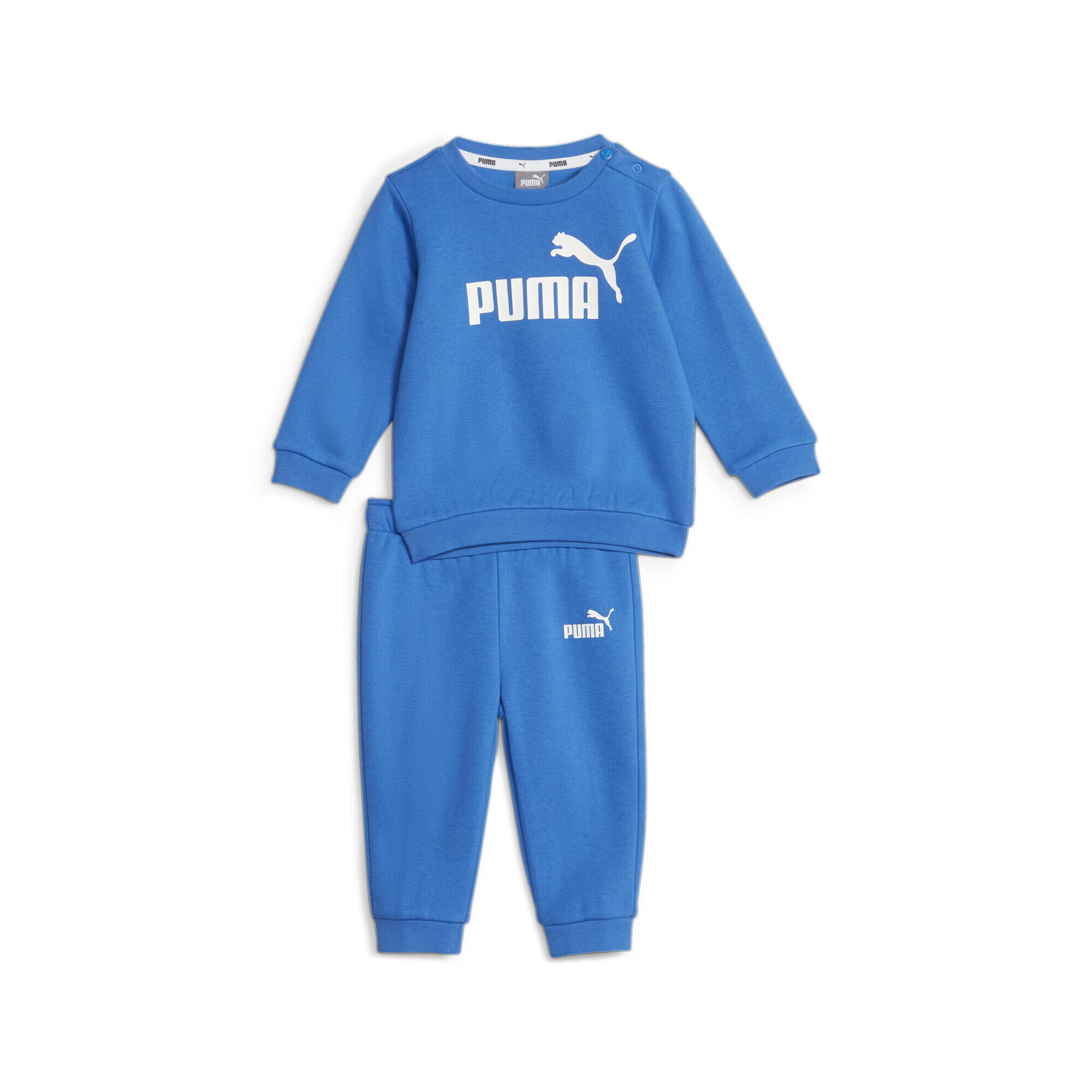 PUMA picture