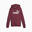 Felpa con cappuccio Essentials Logo da ragazzo PUMA Dark Jasper Red