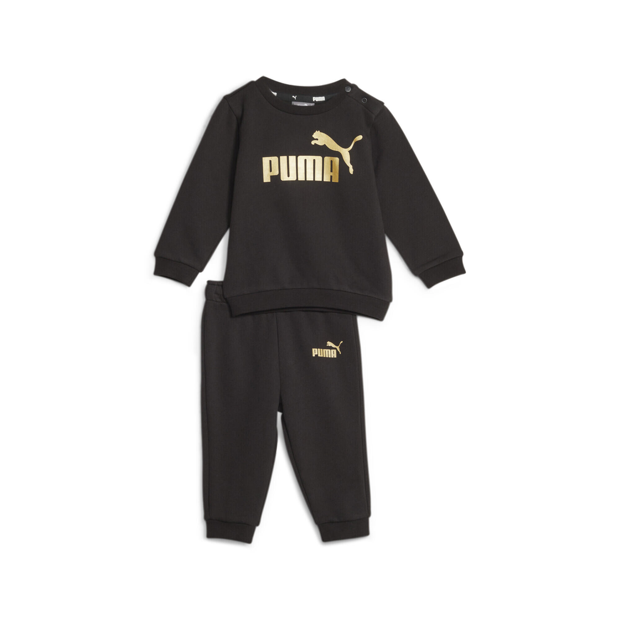 PUMA picture