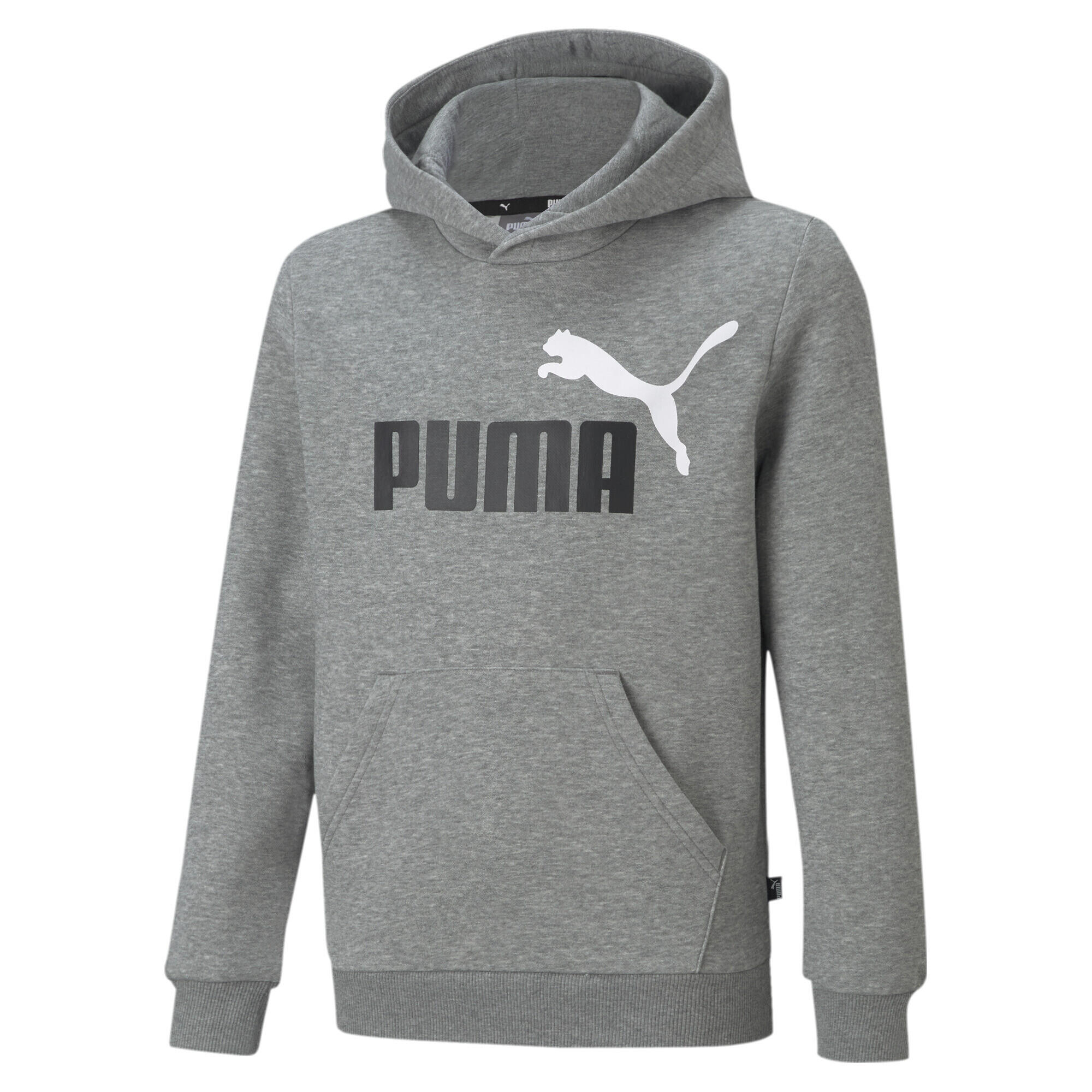 PUMA picture