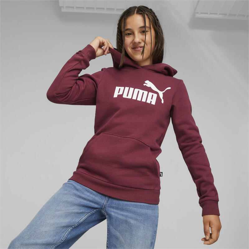 Sudadera con capucha Niño Essentials Logo PUMA Dark Jasper Red