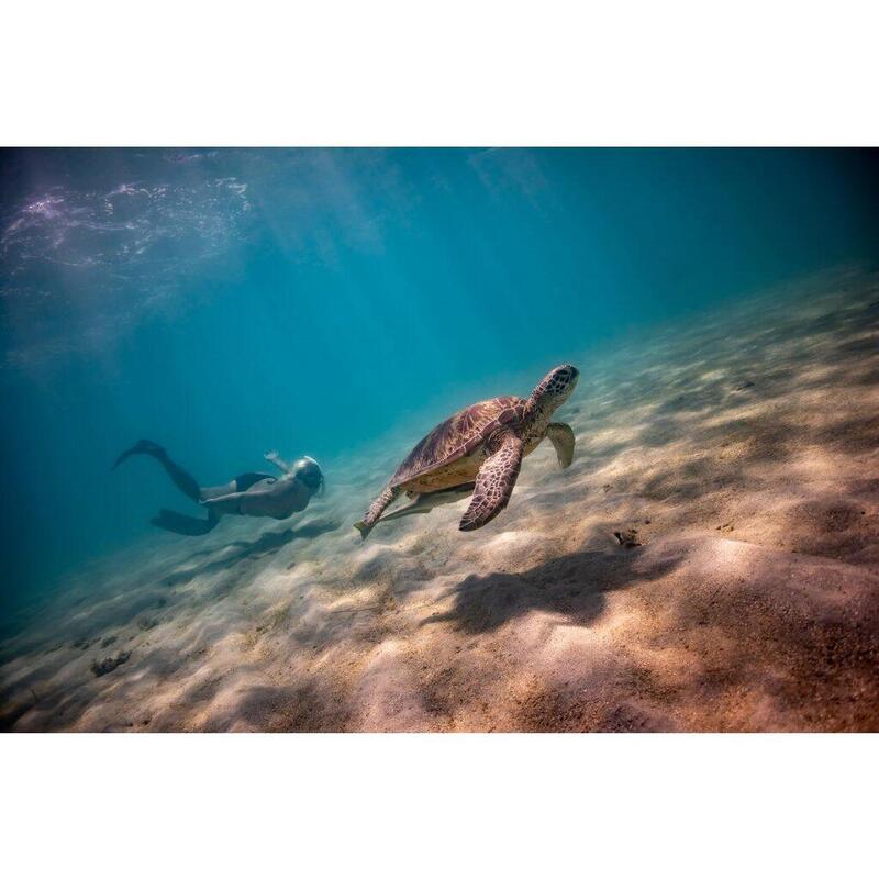 Úvod do Freedivingu