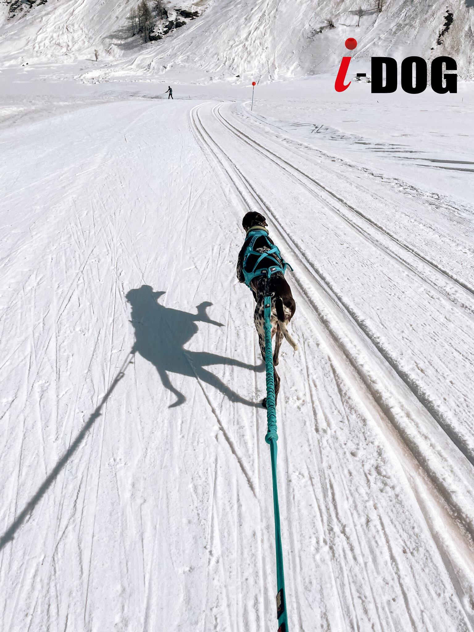 Canicross long lead I-DOG Cani-Bike Opale 7/7
