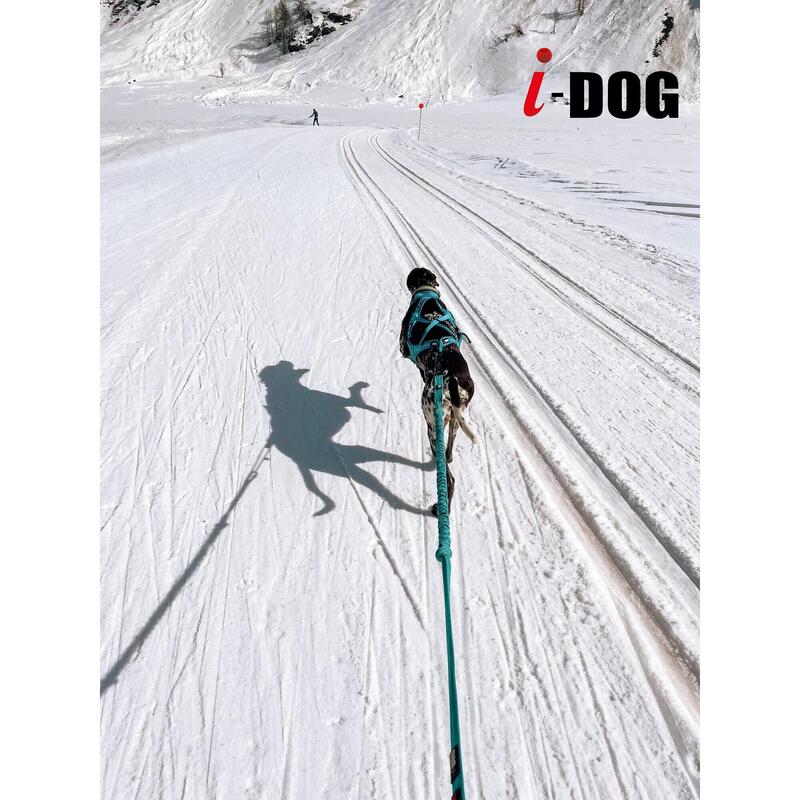 Longe de traction OPALE ALM 240cm pour caniVTT - MEDIUM DOG