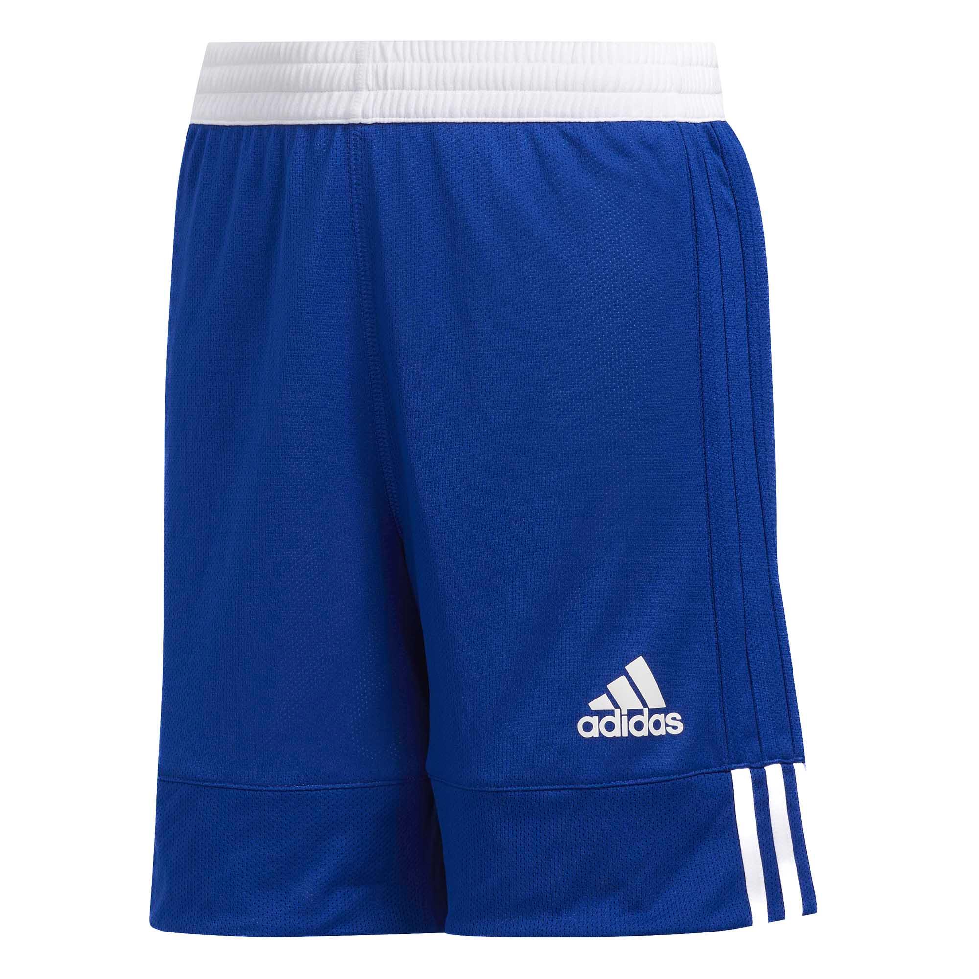 bleu / bleu royal