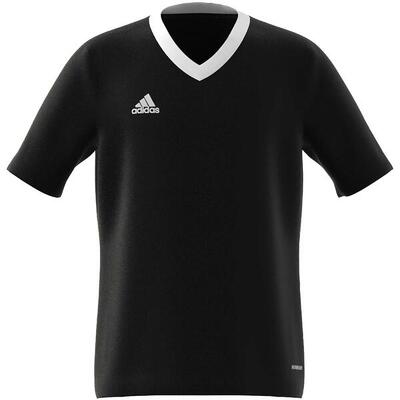 Adidas entrada22 jeugdshirt voor jongens en meisjes - team grijs vier