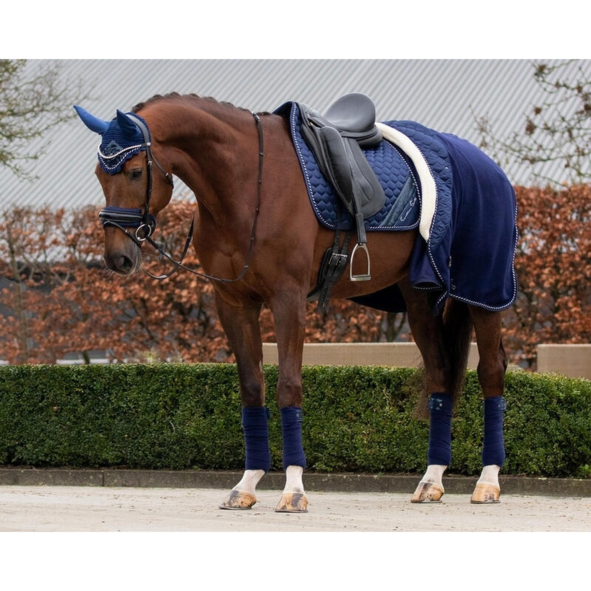 Couverture polaire pour cheval QHP Brilliance