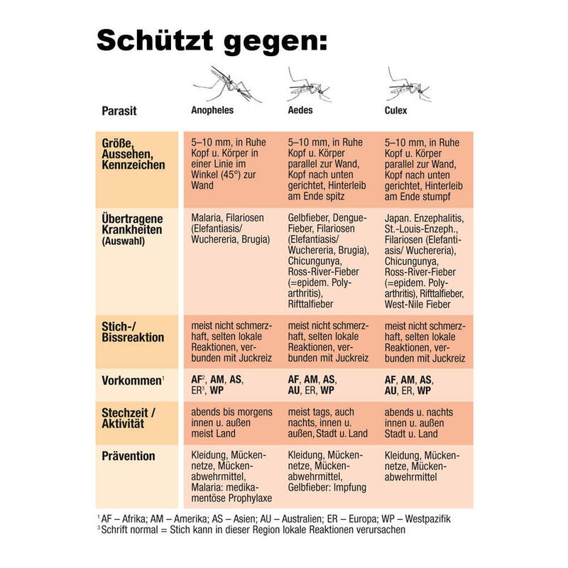 Standard Bell Moskitonetz Reise Mücken Netz Insekten Schutz XL  BRETTSCHNEIDER - DECATHLON