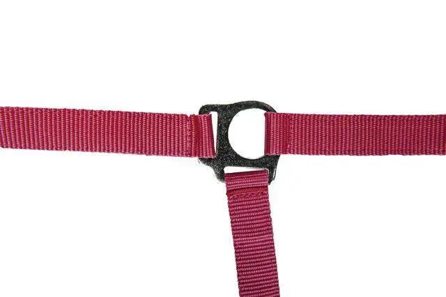 Halster voor paarden HKM Stars Economy 3/4
