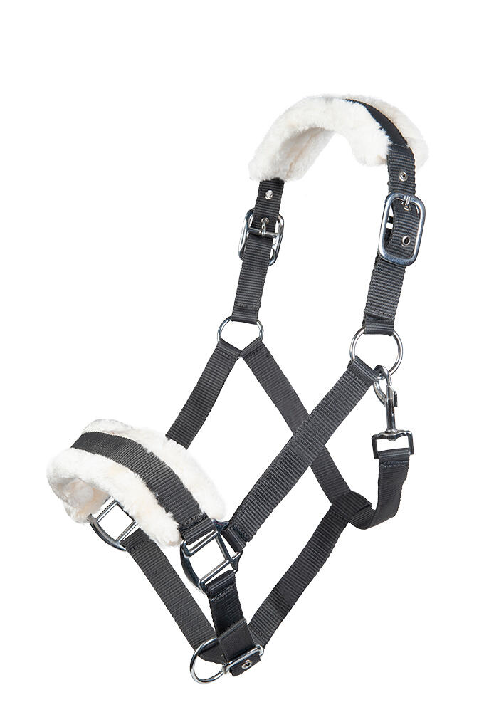 Licol Bischofshofen, rembourrage Teddy bleu foncé 2/3