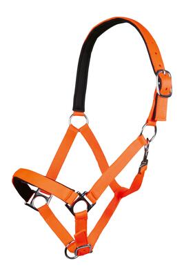 Halster voor paarden hkm stars softice