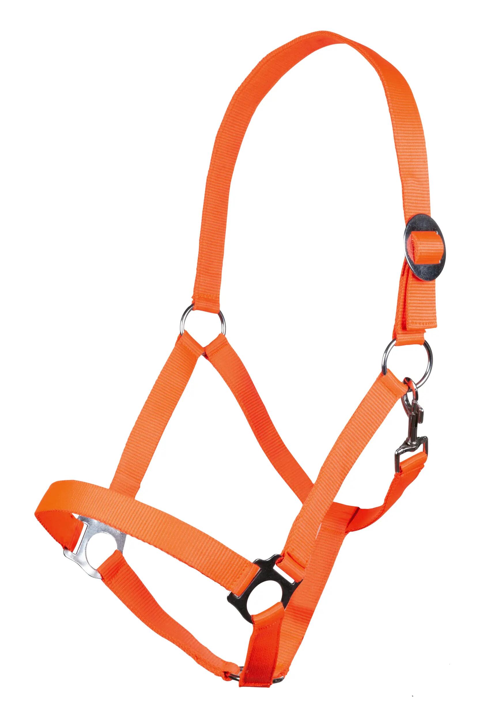 Oranje / Lichtoranje / Neonoranje