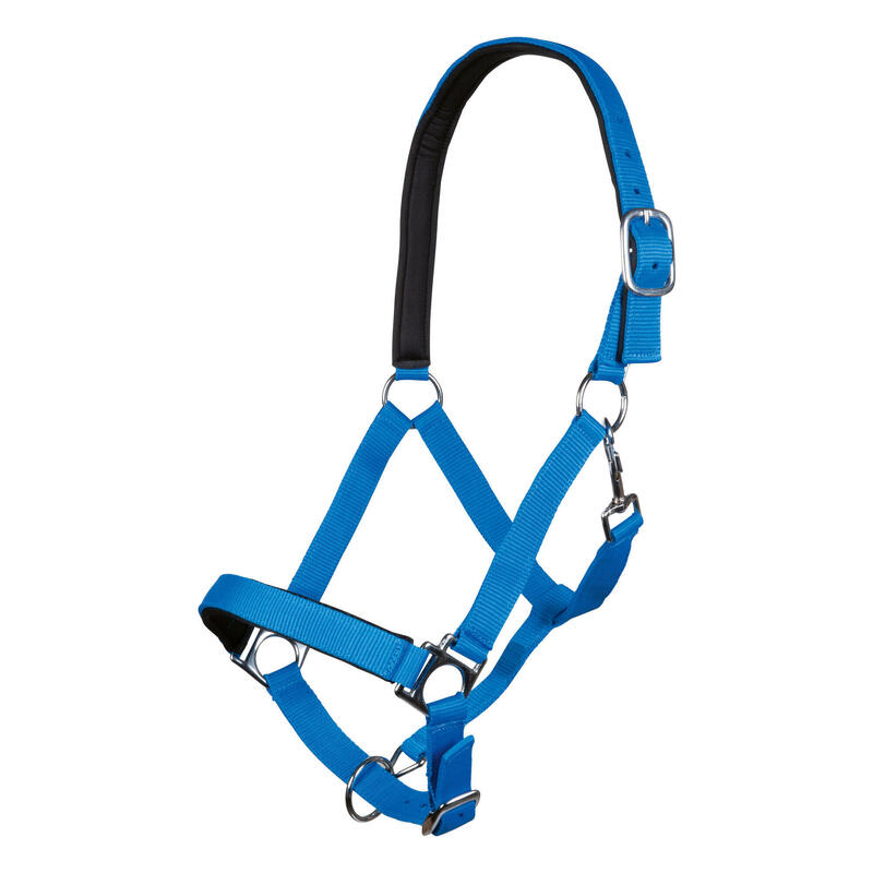 Licol Stars Softice, doublure douce bleu roi