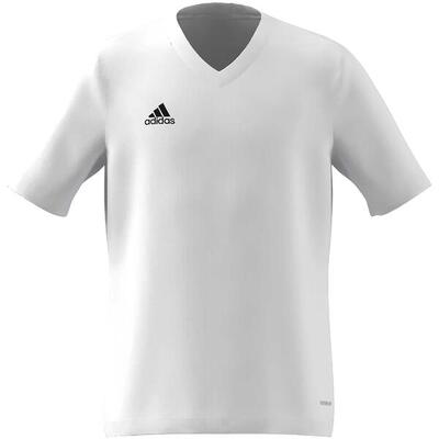 Adidas Entrada22 Kindertrikot für Jungen und Mädchen - Team Grau Vier
