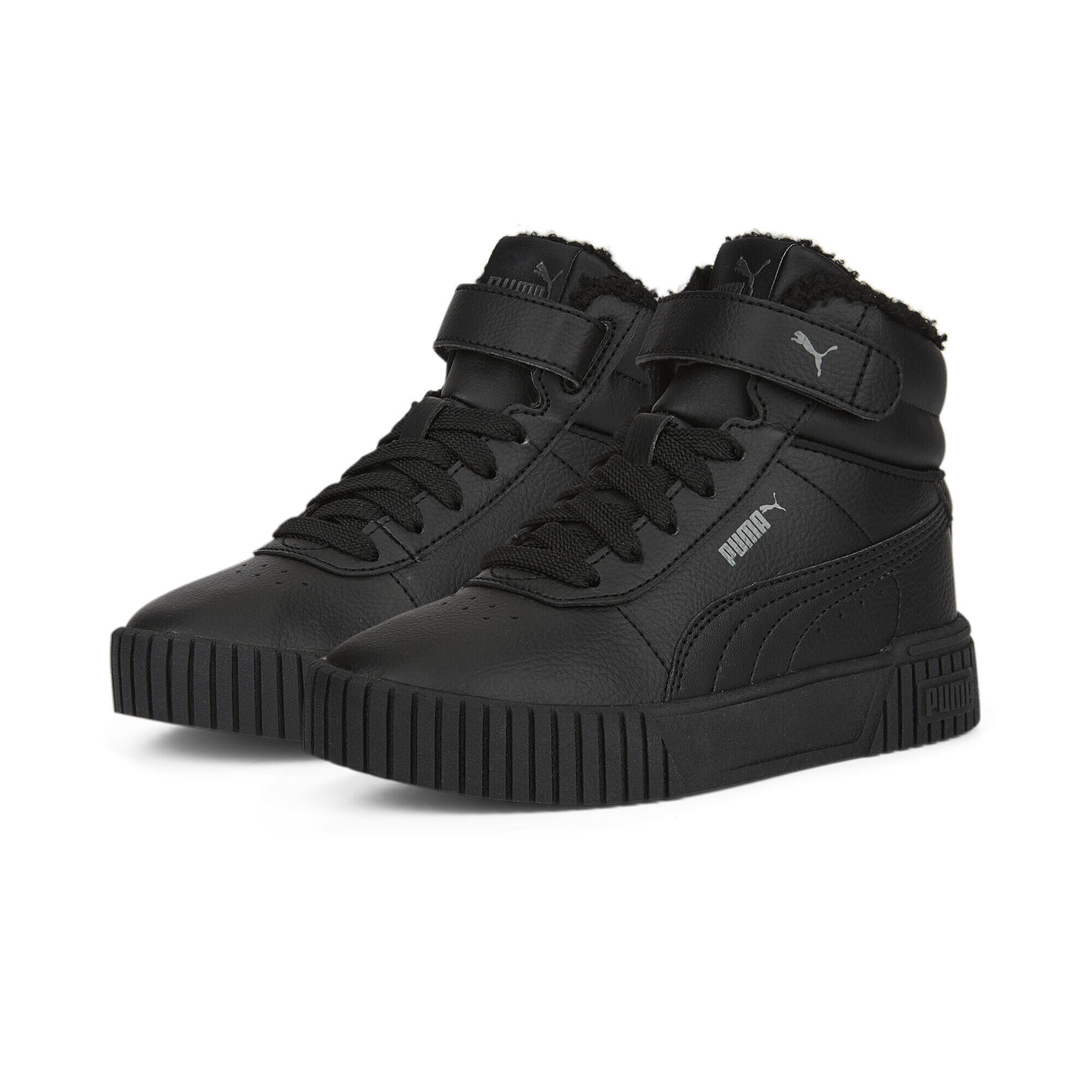 PUMA picture