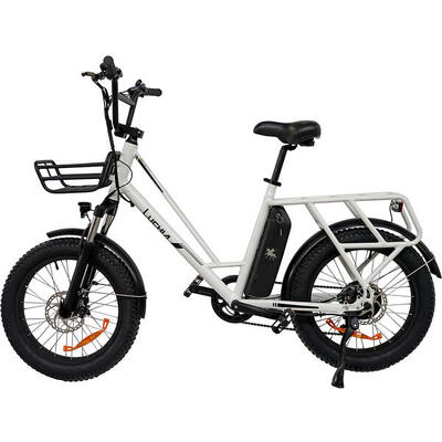 Fat bike elettrica Tauro 250W 36V 10Ah (360Wh) - ruota 20" x 3