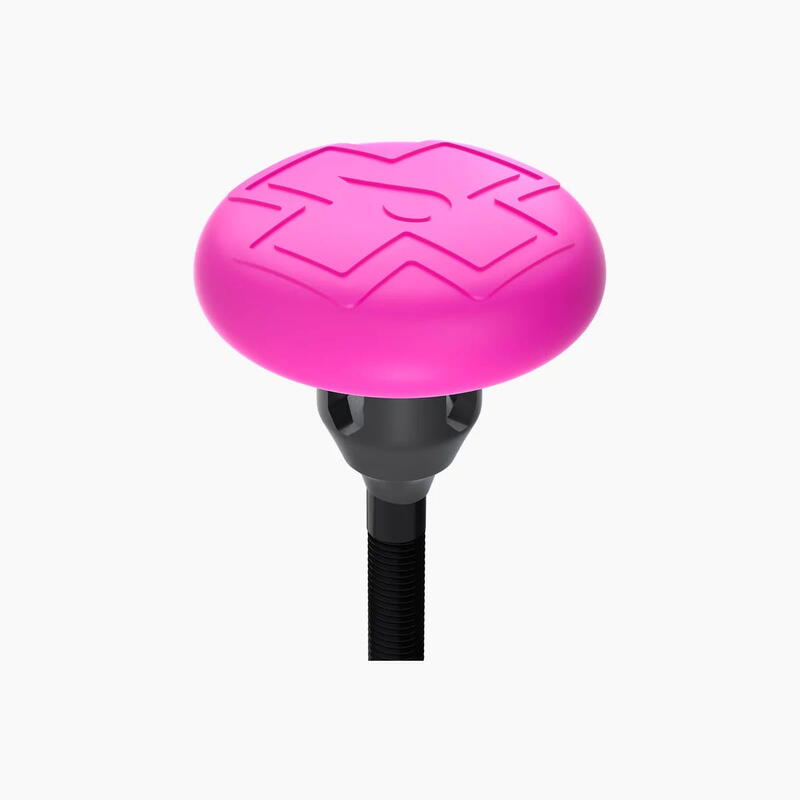 Tubeless Tag Holder & 44 mm Valves - noir