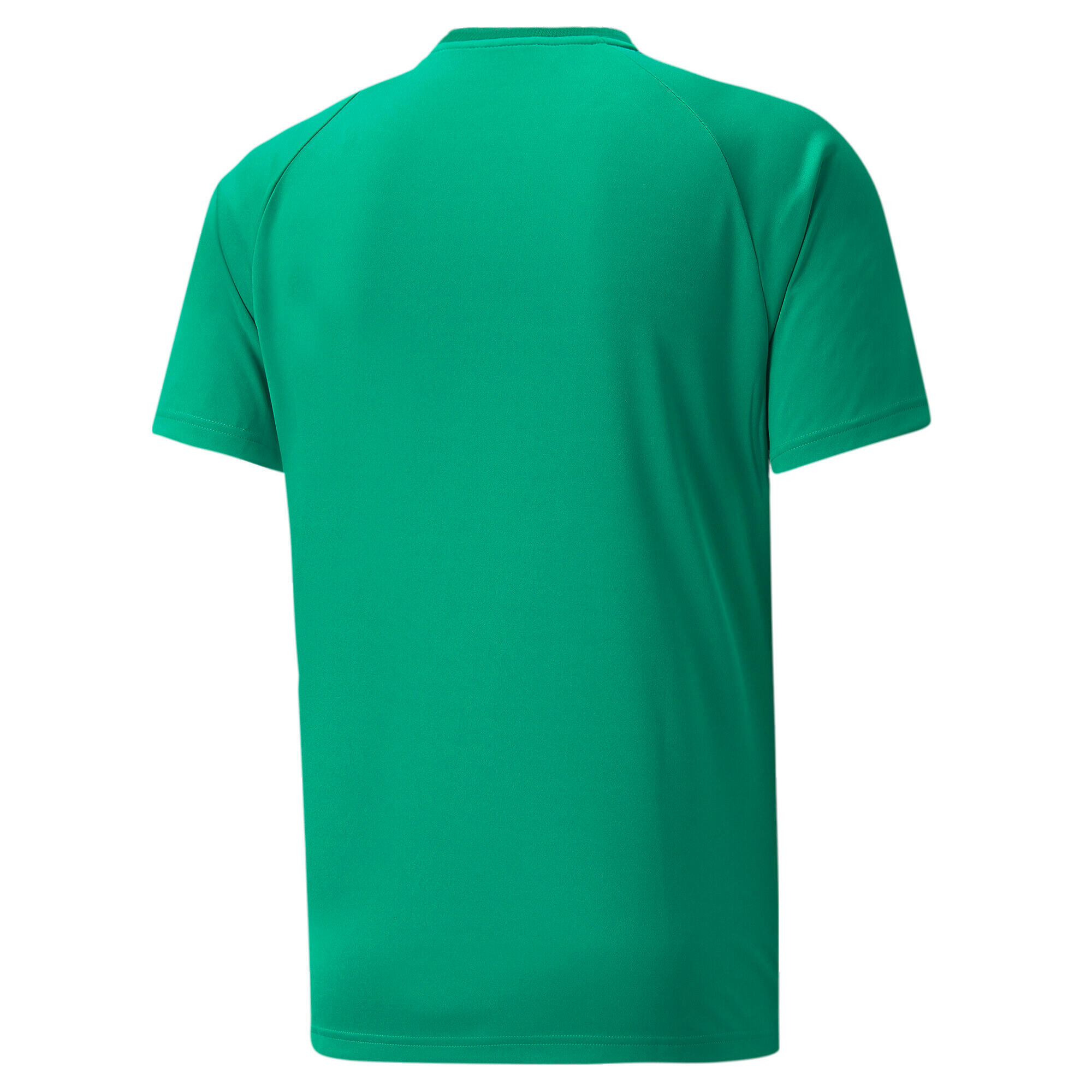 Camiseta Puma Team Vision 2/2