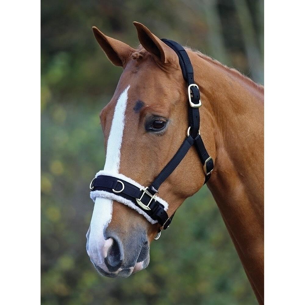 Fleece Lined Horse Lunge Cavesson (Black) 2/3