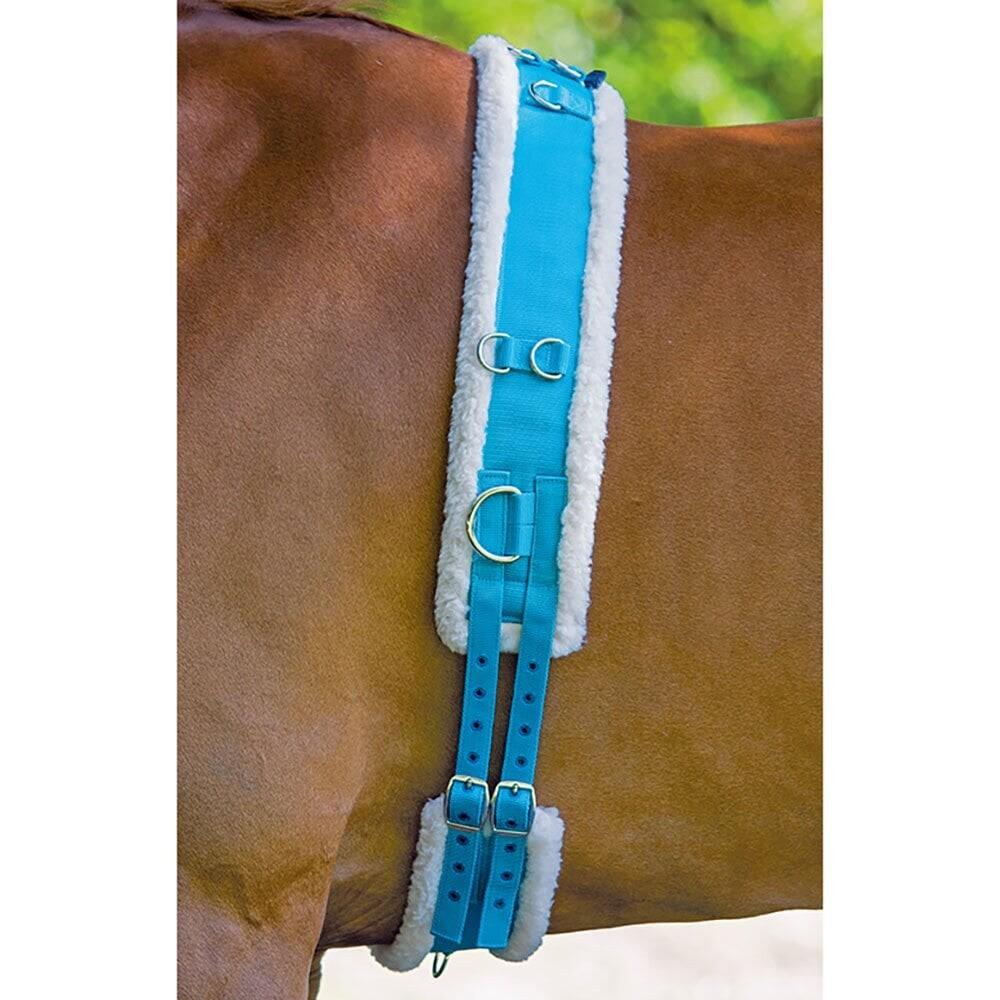 Fleece Padding Nylon Horse Lunging Roller (Blue) 3/3