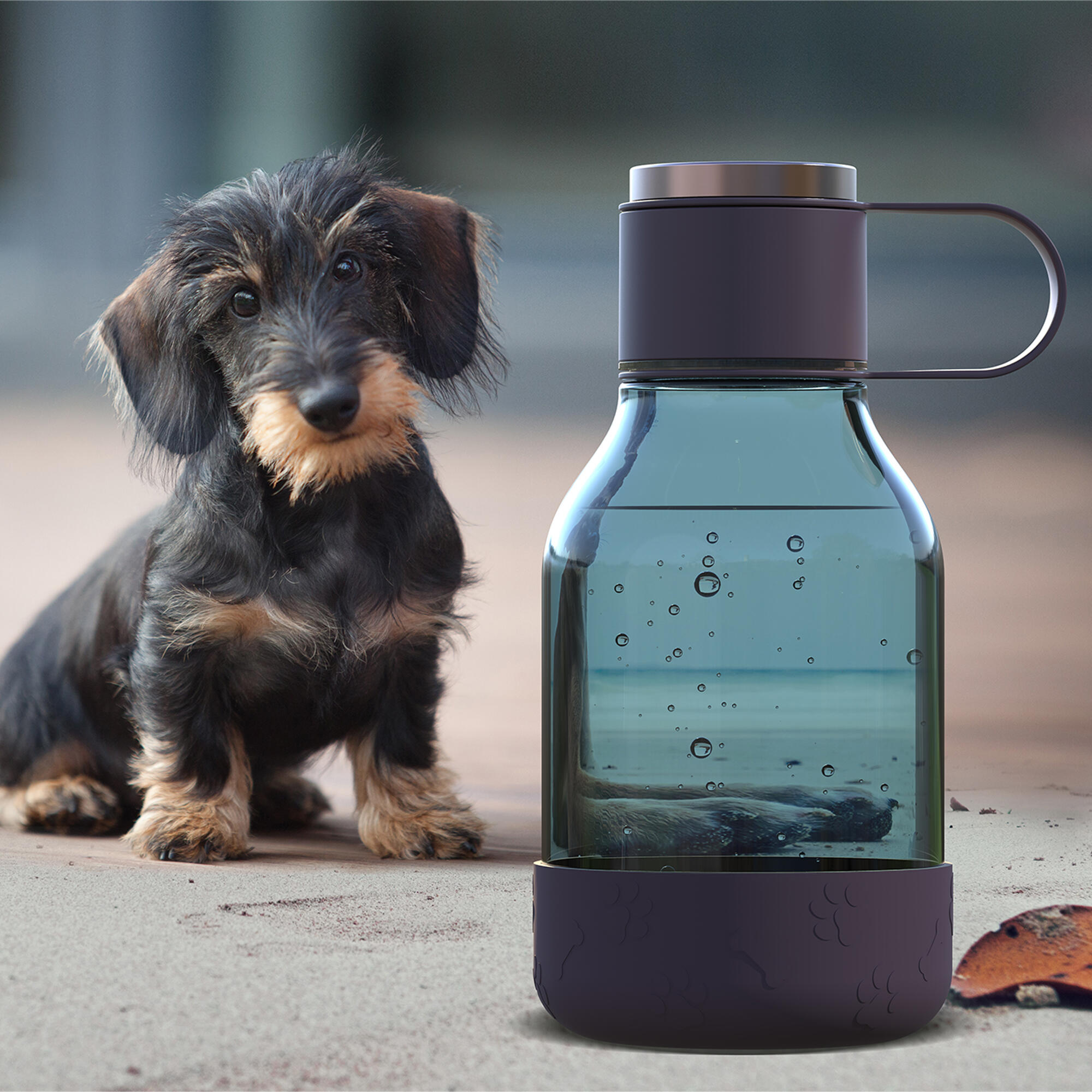 Tritan Water Bottle with Dog Bowl Black 1.5 Litre 3/6
