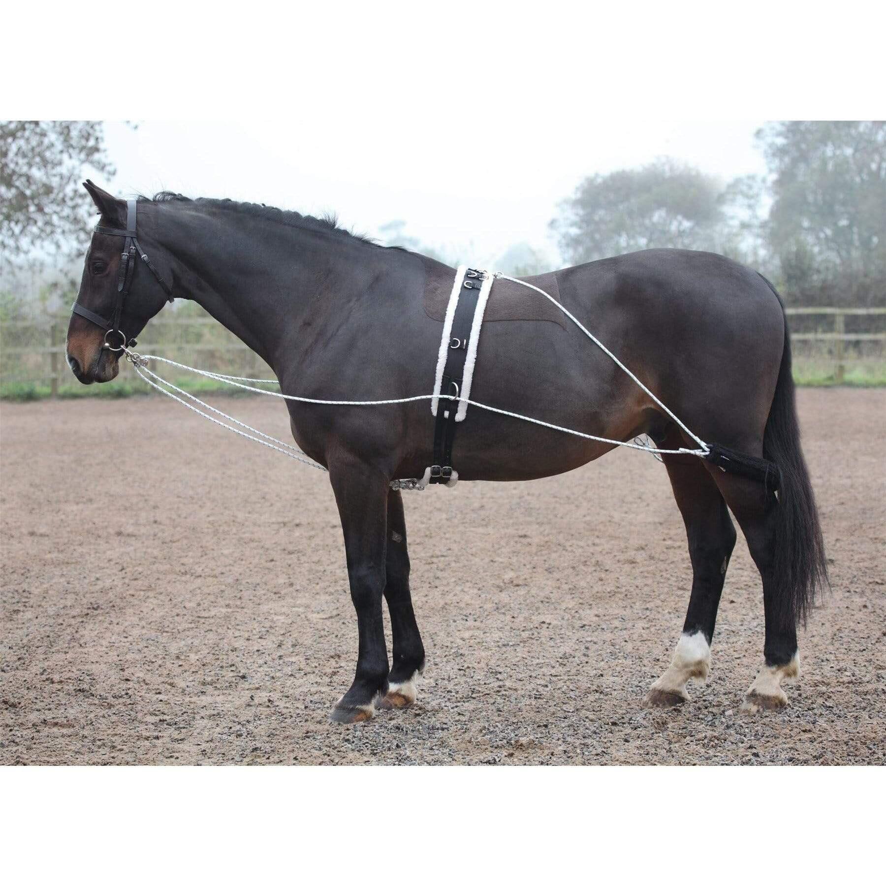 Horse Lunging Aid (Black) 2/2