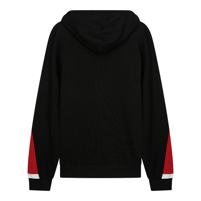 Sweat capuche PSG homme