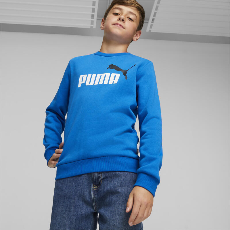 Essentials+ Two-Tone Big Logo Sweatshirt Jungen PUMA Racing Blue