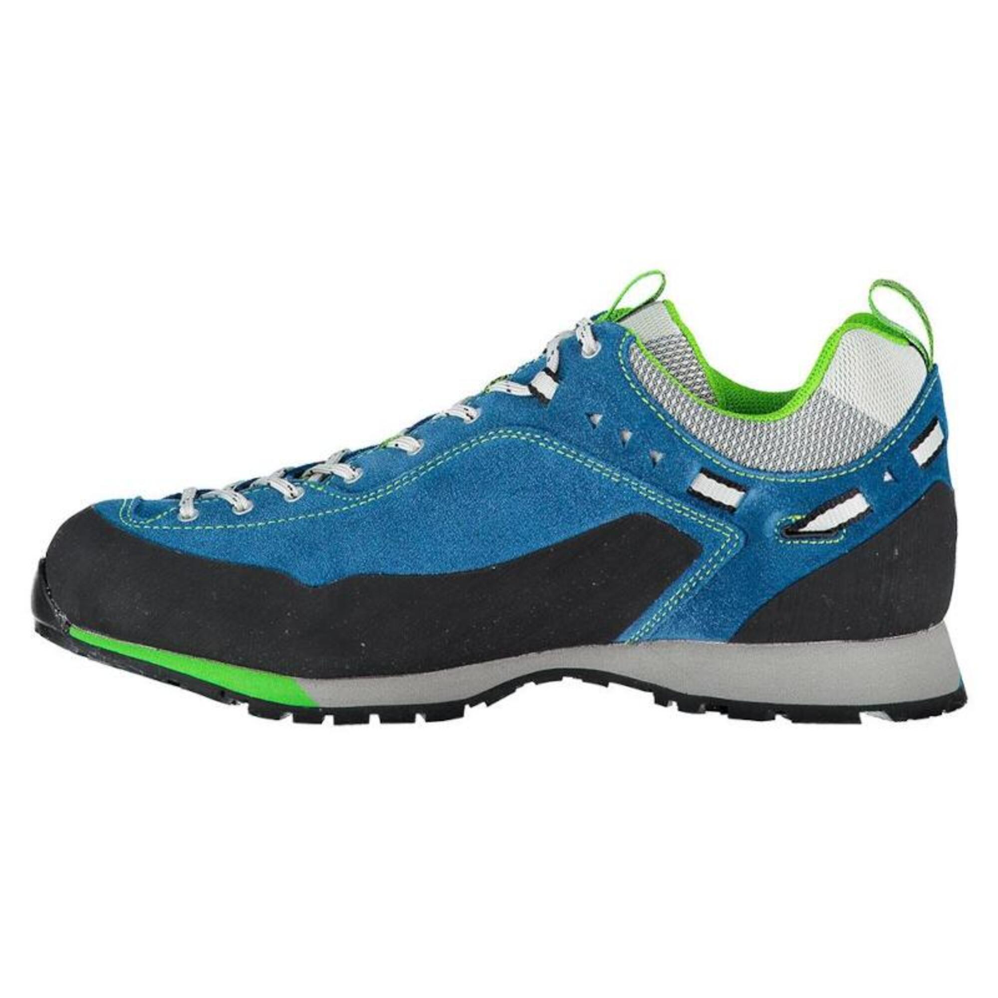 Chaussure de marche pour hommes Dragontail LT Cat A Bleu - Vert