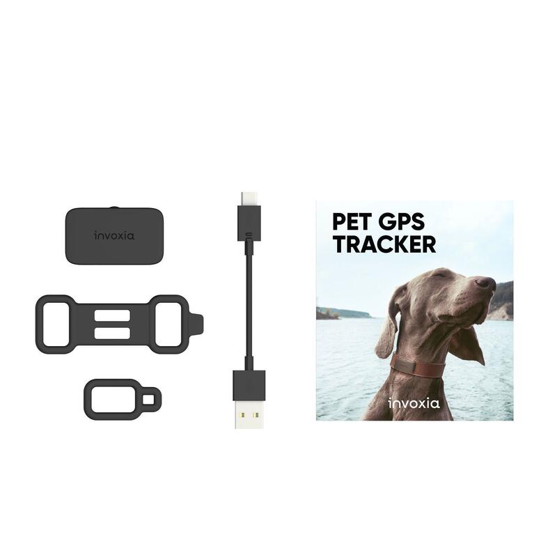 Inseguitore di animali domestici - Adulto - PET TRACKER GPS