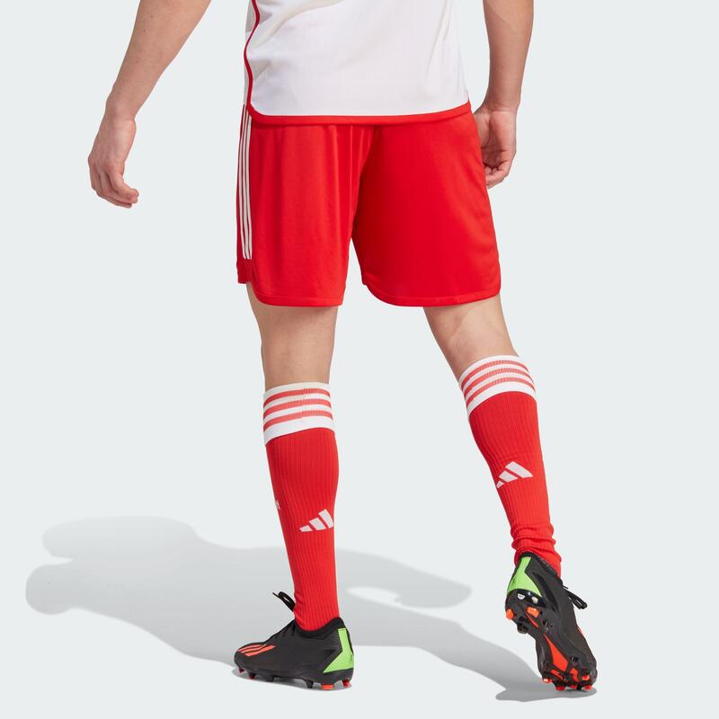 Spodenki do piłki nożnej męskie Adidas FC Bayern 23/24 Home Shorts