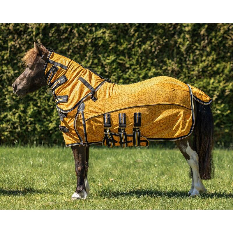 Coperta con copricollo e maschera per cavalli Horse Fly QHP Falabella