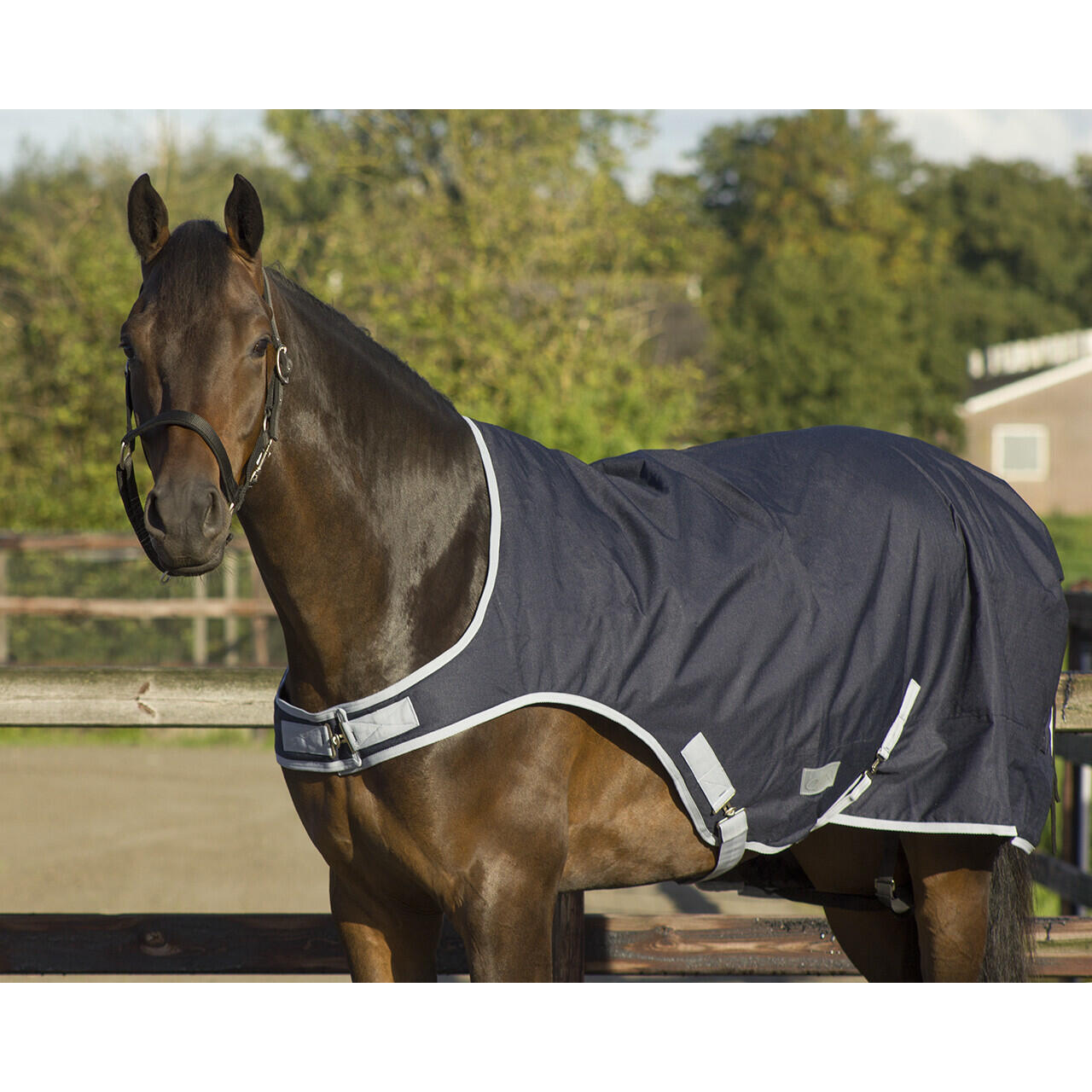 Coperta impermeabile per cavalli QHP 200 g 2/4