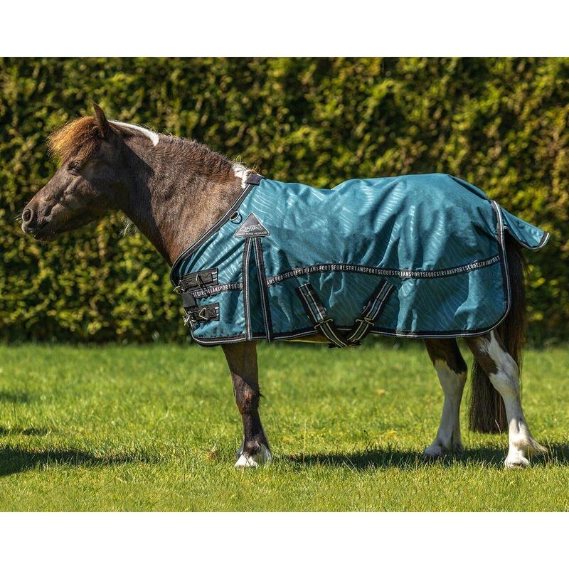 Coperta da esterno per cavalli QHP Turnout Falabella 0g