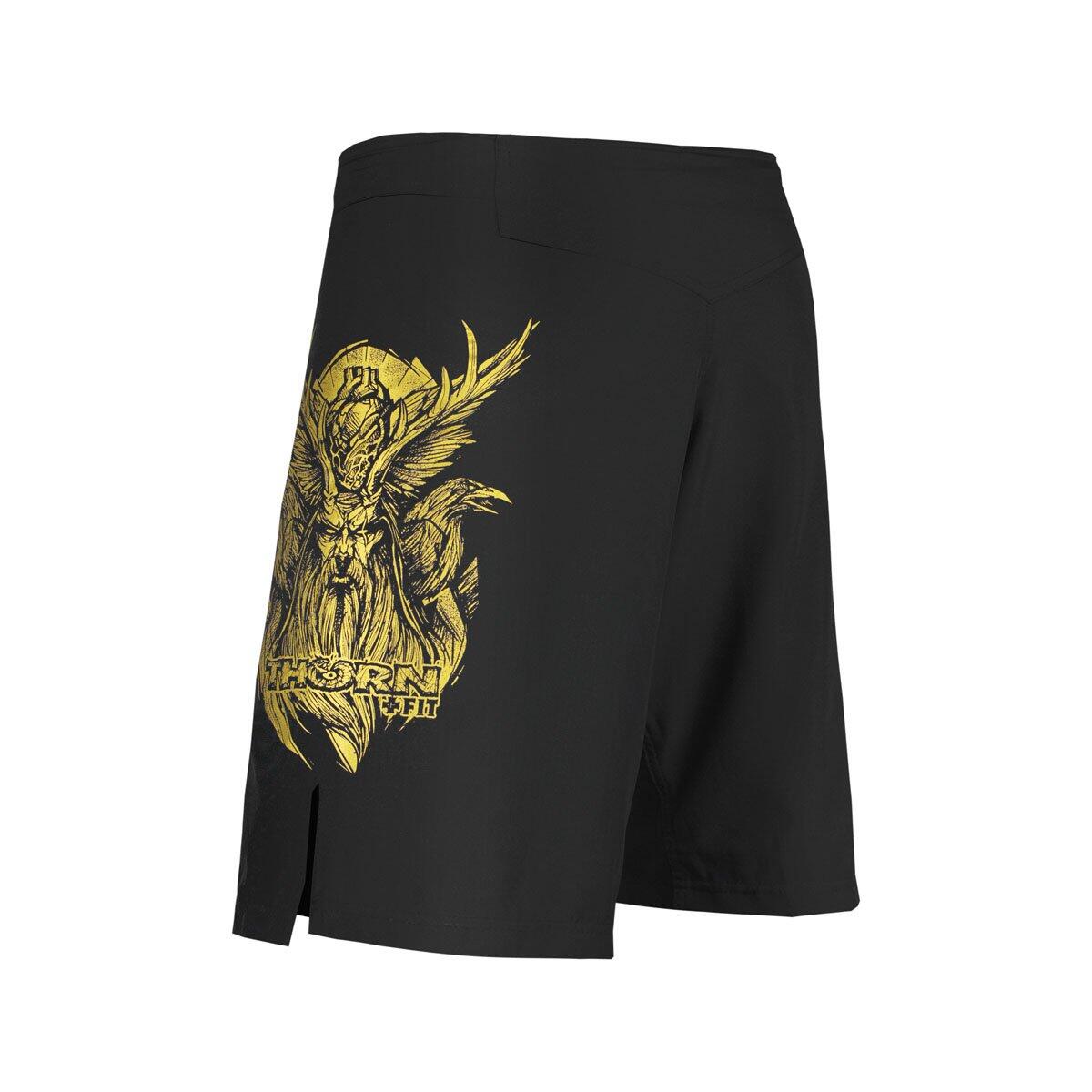 Spodenki treningowe męskie THORN FIT Combat 2.0 Odin 2/4