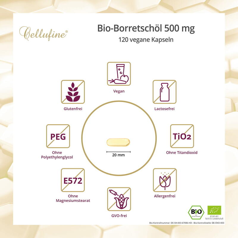 Bio-Borretschöl 500 mg - 120 vegane Kapseln