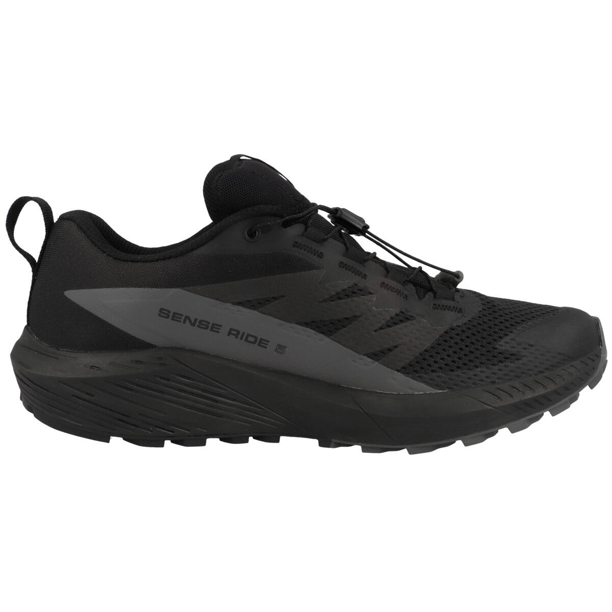 Scarpa running uomo Salomon Sense Ride 5 Gtx 3/5