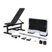 Speediance Gym Pal Pro Max