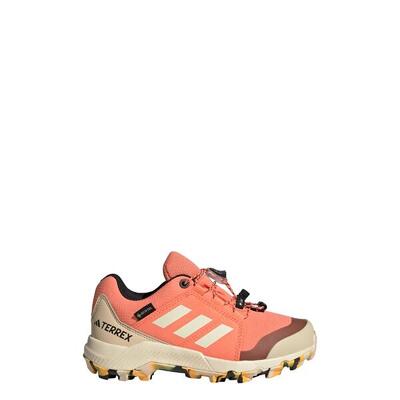 Zapatilla Terrex GORE-TEX Hiking