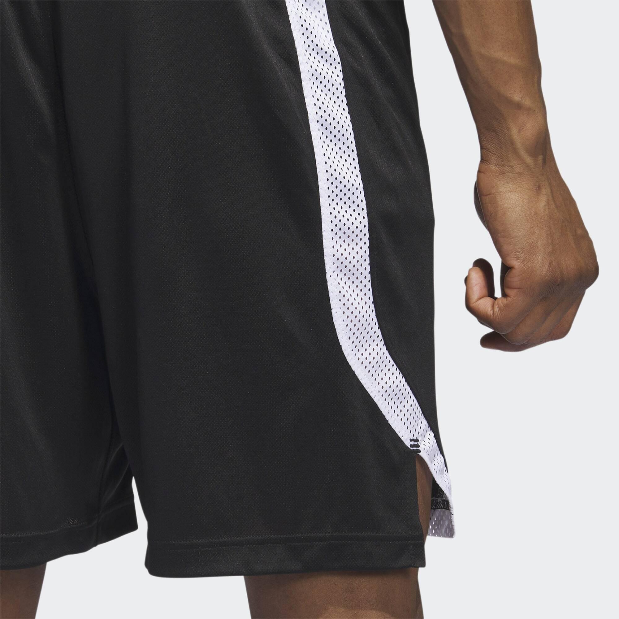 Icon Squad Shorts 5/5