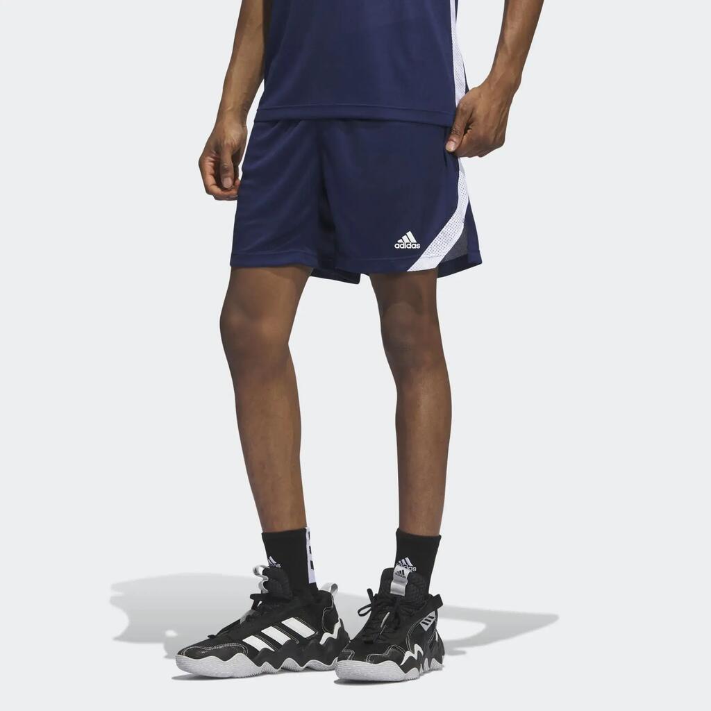 BLUE / WHITE