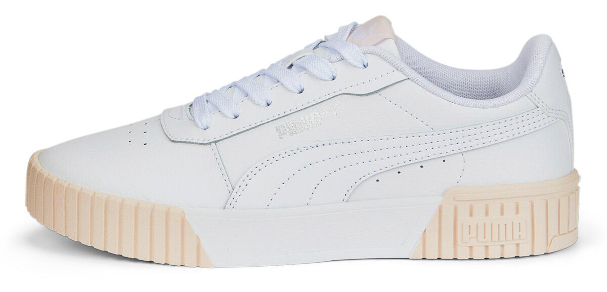 PUMA picture