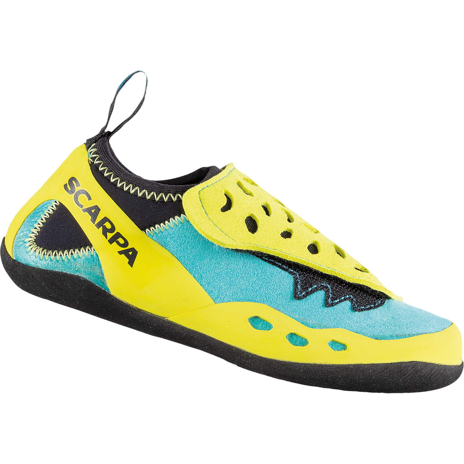 SCARPA picture