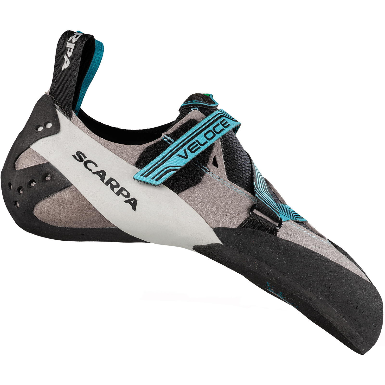 SCARPA picture
