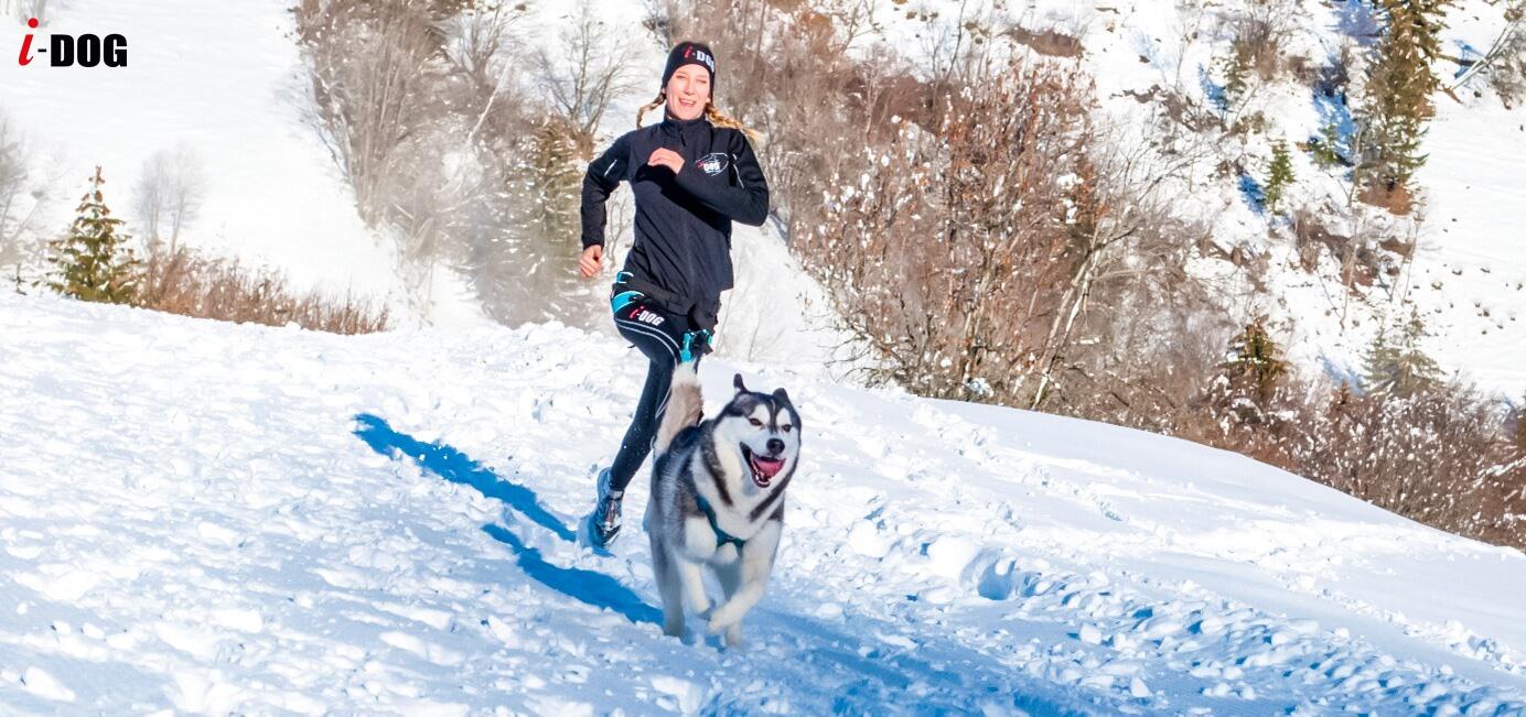 Canicross long lead I-DOG Cani-Bike Opale 7/7
